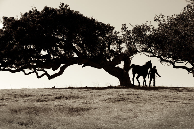 B&W / Sepia
