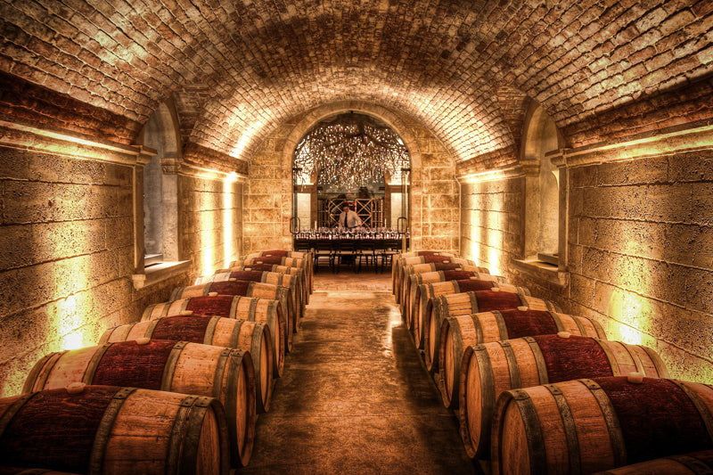 Cellar / Barrels