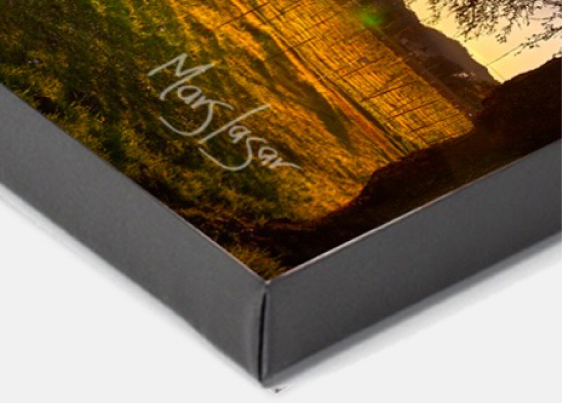 GALLERY CANVAS WRAPS