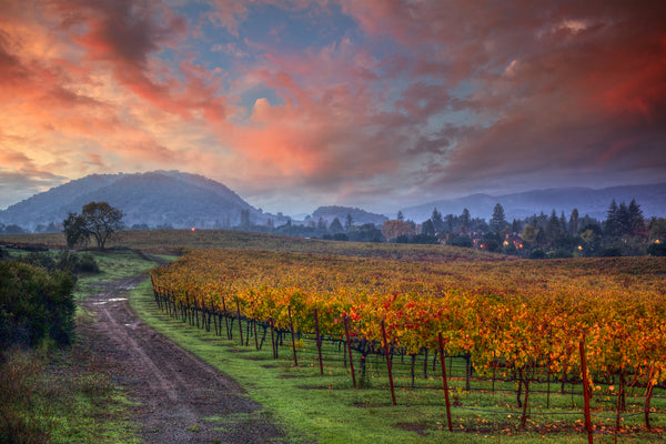Wine Country Color