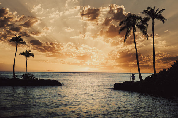Serene Palm Shores Sepia