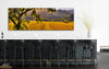 Hidden Valley Panorama