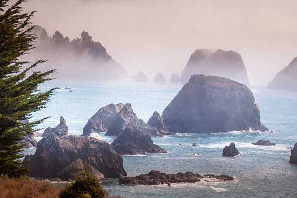 Pacific Coast Mist