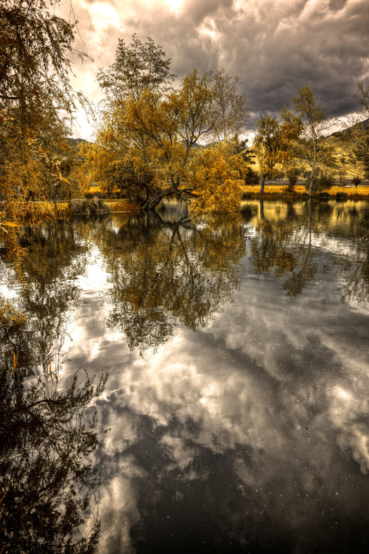 Dramatic Montelena vertical