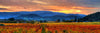 Classic Napa Valley Panorama