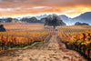 Sonoma Fall Installation