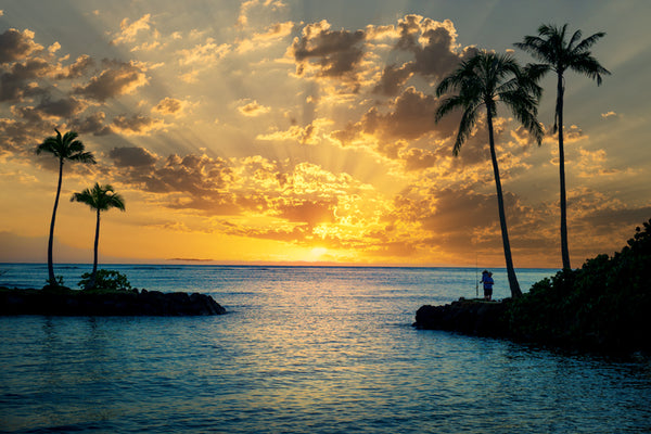 Serene Palm Shores