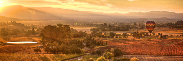 Napa Valley Fall Sunrise Panorama