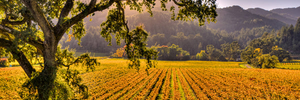 Hidden Valley Panorama