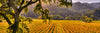 Hidden Valley Panorama