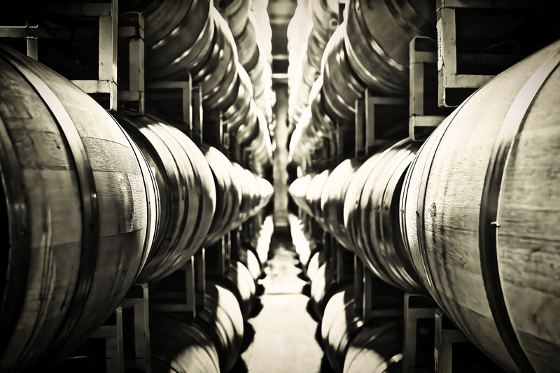 Barrel Perspective B&W